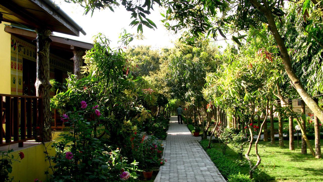 Rhino Land Jungle Lodge Sauraha Extérieur photo