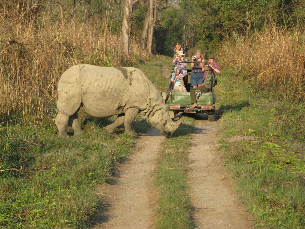 Rhino Land Jungle Lodge Sauraha Extérieur photo