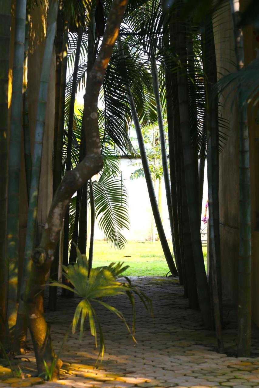 Rhino Land Jungle Lodge Sauraha Extérieur photo